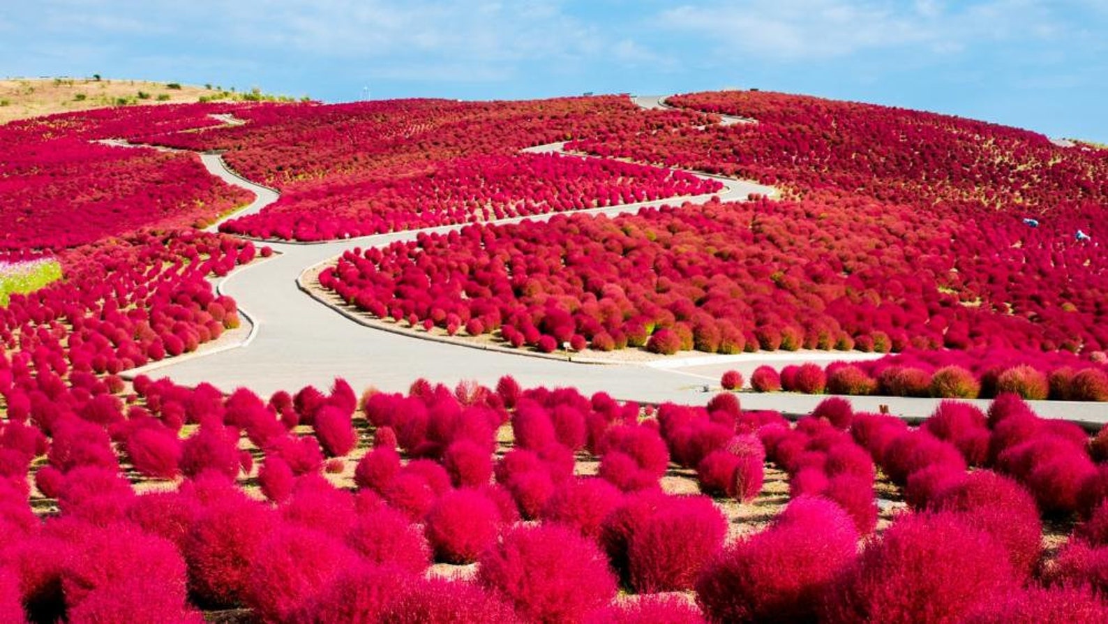 Парк Хитачи хорошее качество