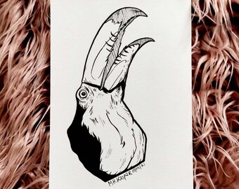 Vogelkafig Zeichnung Etsy