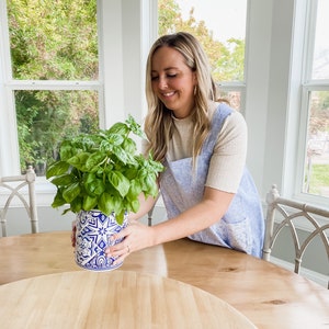 May include: A woman in a light blue and white dress holds a blue and white ceramic planter with a green basil plant. The planter has a starburst design.