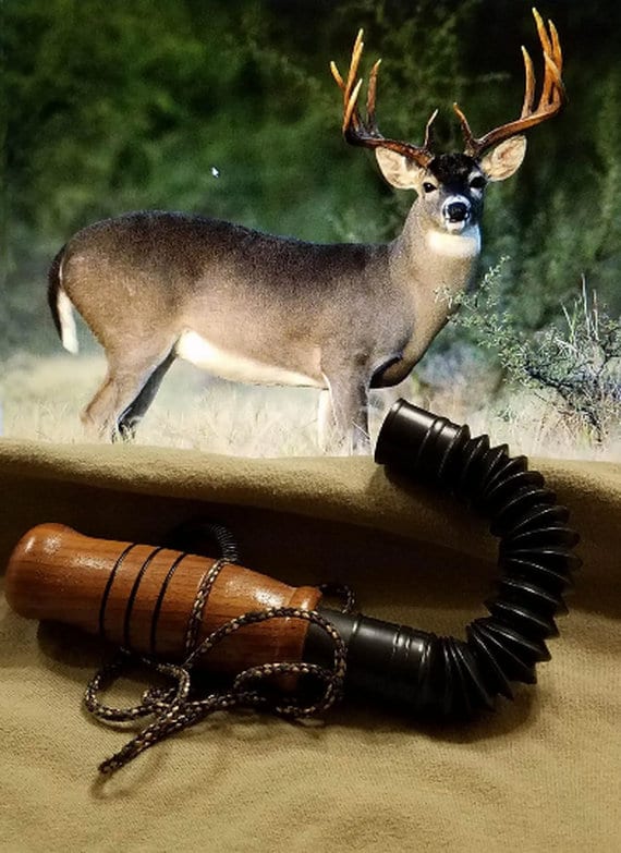 Deer grunt discount