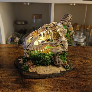 Terrarium foam sale