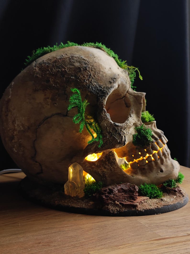 Gothic Skull Night Light – Handcrafted Resin Lamp, 120V Plug-In, Push Button Switch, For Halloween Decor, Parties, Oddities & Curiosities