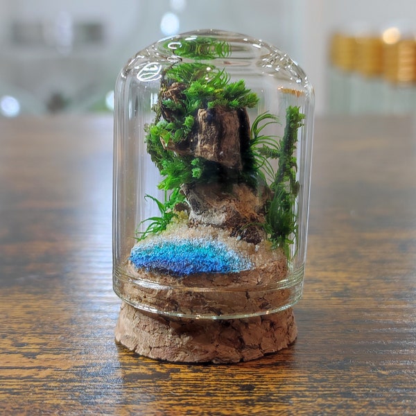 Mini Terrarium stabilisé • Piton rocheux sous cloche • Zéro entretien