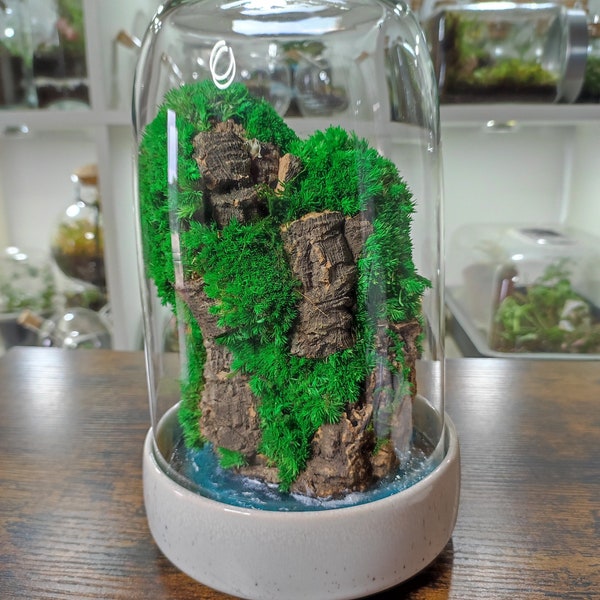 Terrarium stabilisé • Piton rocheux sous cloche • Zéro entretien