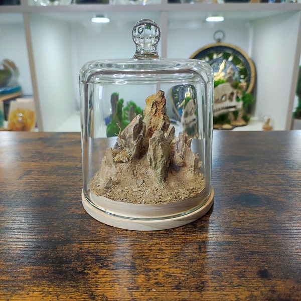 Terrarium cloche Minarium • Dragon stone, mousse séchee, sable • Zéro entretien