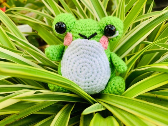 Mini Crochet Frog Amigurumi, Wendy Squishmallow, Personalized