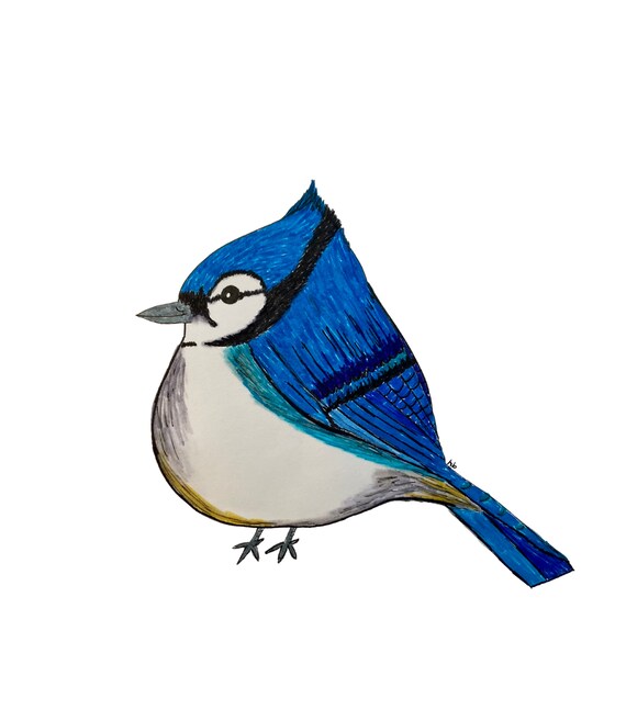 Blue Jay Print PRINTABLE Wall Art Bird Decor Blue Jay Etsy