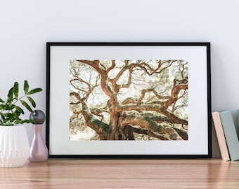 The Angel Oak Tree in Charleston, South Carolina, Printable Art, Printable Wall Art