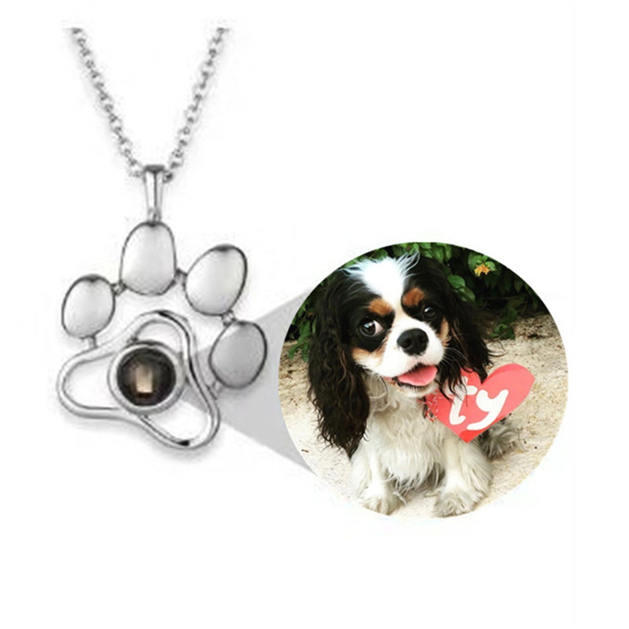 Dog paw necklace with picture inside deals