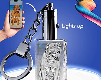 Llavero con foto personalizado, llavero de cristal con imagen 3D personalizado, llavero grabado con imagen personalizada iluminada, recuerdo de regalo memorable