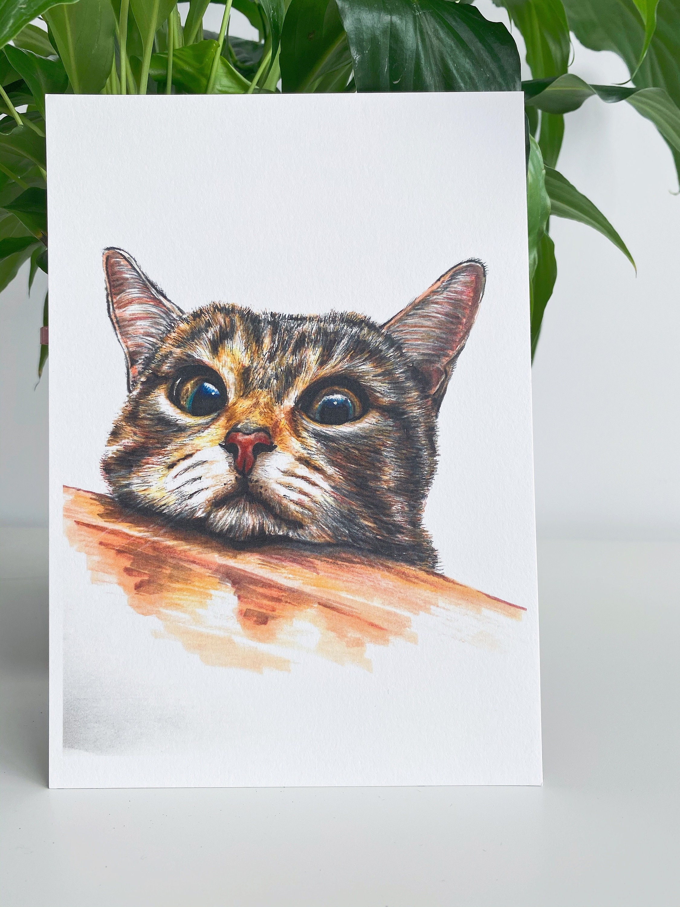 Katze-Karten Katze Grußkarten Katze Geschenkkarten | Etsy