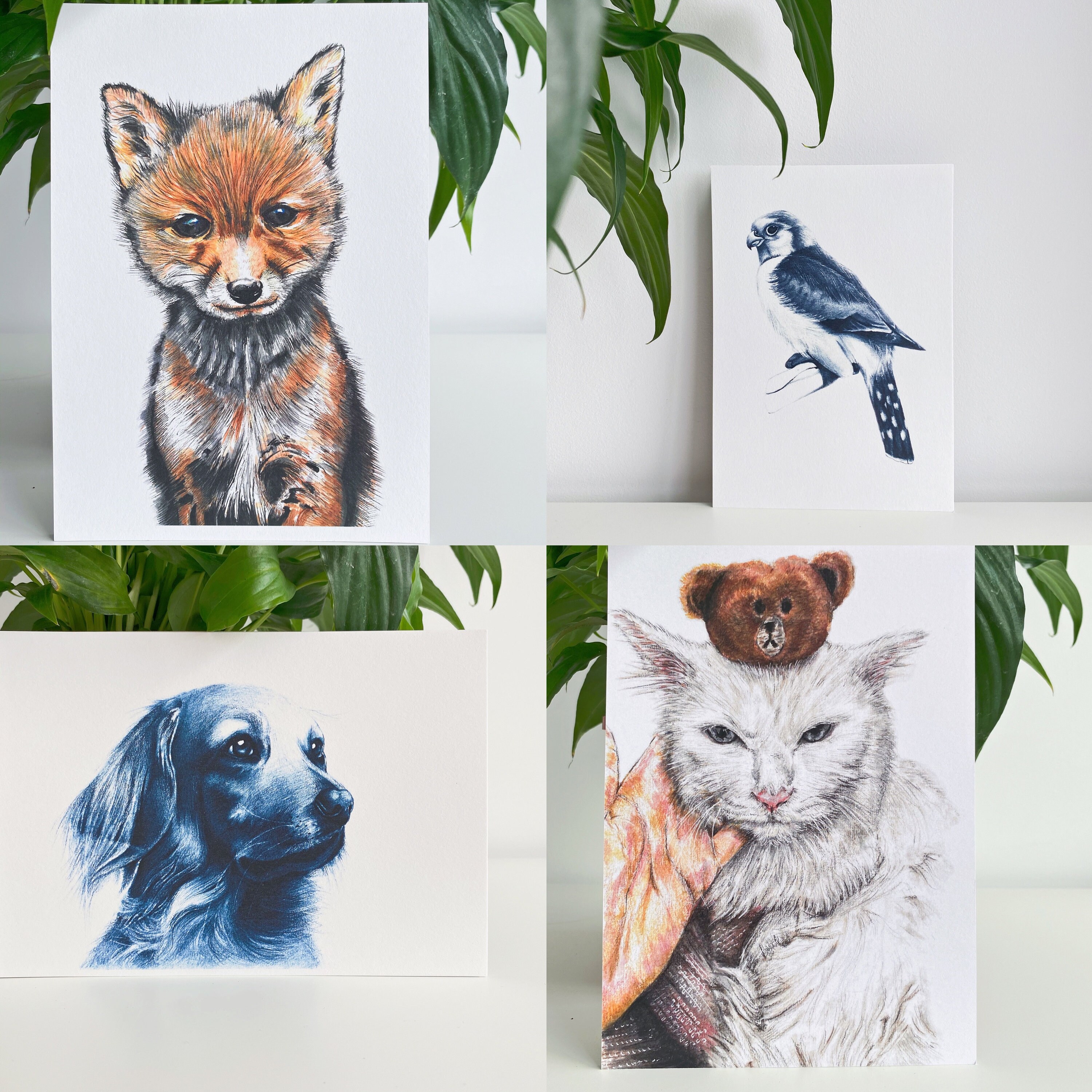 Cat Cards Cat Greeting Cards Cat Gift Cards Art Cards Cat Etsy