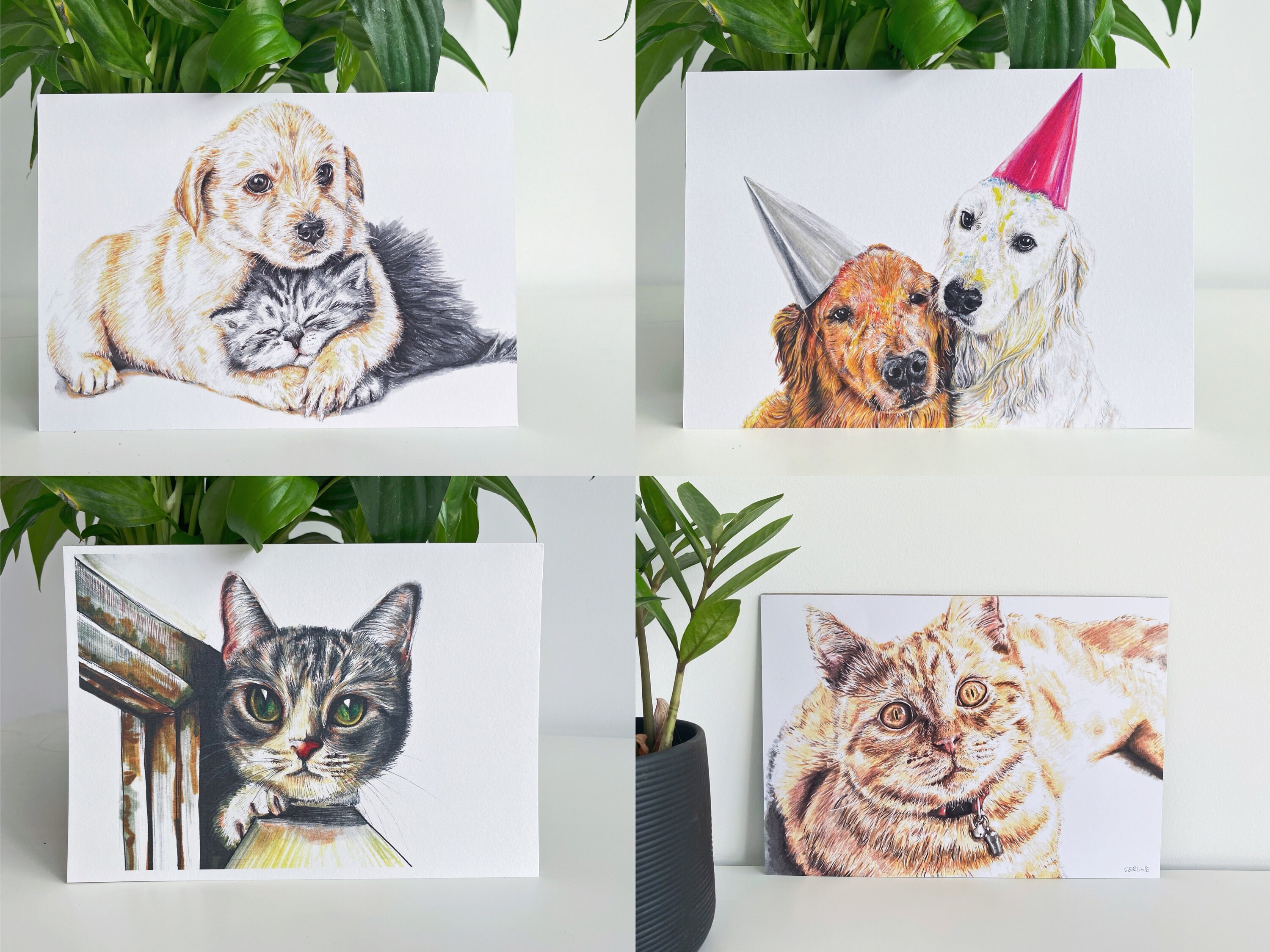 Katze-Karten Katze Grußkarten Katze Geschenkkarten | Etsy