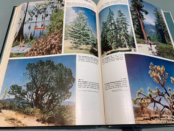 Vintage the World Book Encyclopedia 1961 Volume 17 