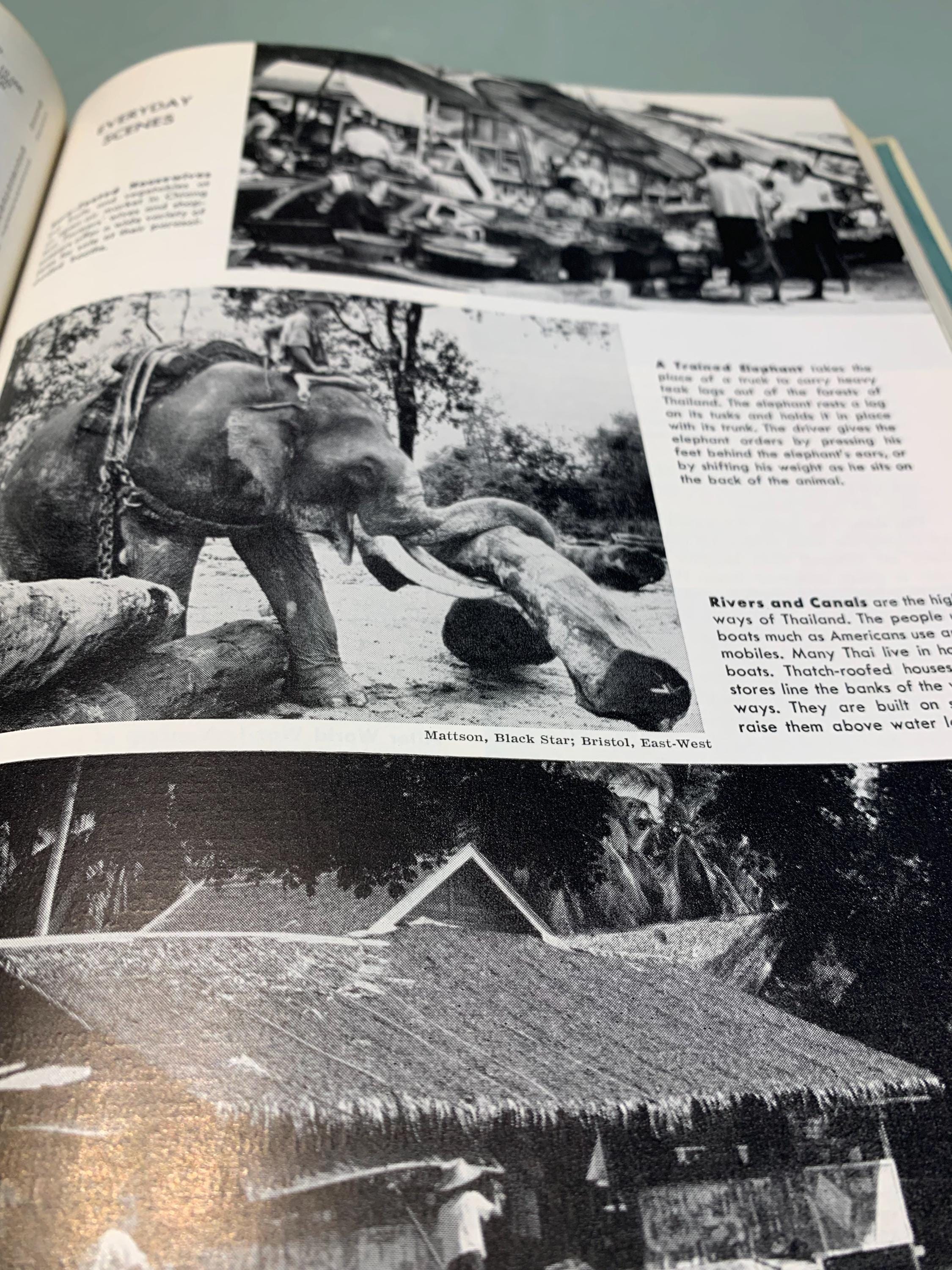 Vintage the World Book Encyclopedia 1961 Volume 17 
