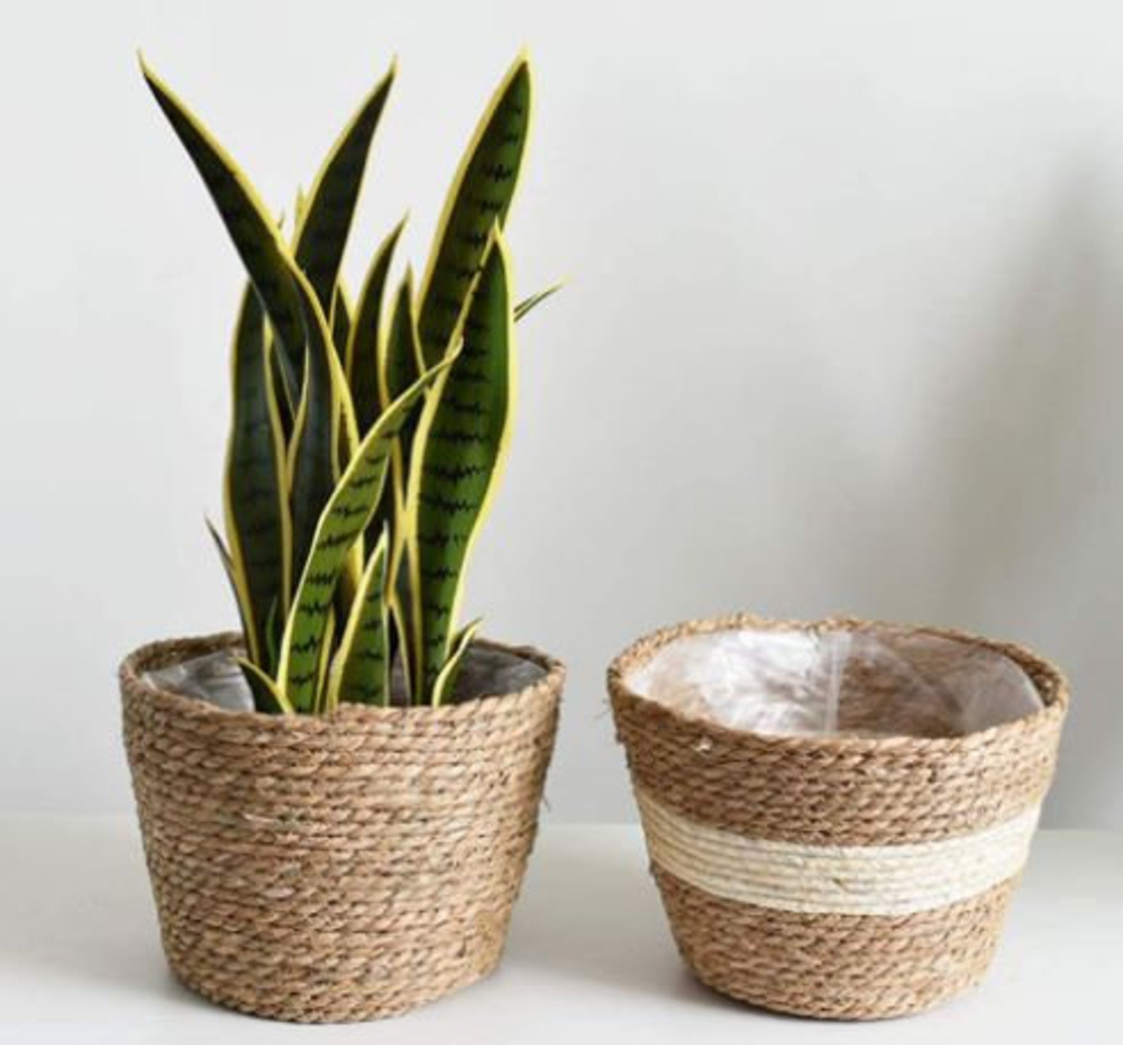 Elegant Woven Plant Basket: A Home For Your Botanical Beauties
