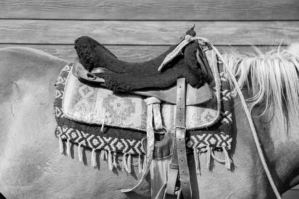 Western wall decor Black and white horse photography modern | Etsy