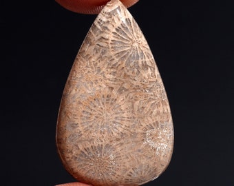 Fossil Coral Cabochon Gemstone For Jewelry Making | 37x23 mm Pear Shape Flat back Loose Cabochon Gemstone | 45 Ct Natural Coral Gemstone |