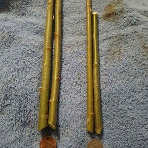 Puede incluir: Tres palitos de madera verde, dos de ellos est&aacute;n unidos y uno est&aacute; separado. Los palitos tienen aproximadamente el tama&ntilde;o de una moneda de un c&eacute;ntimo de euro, que se muestra junto a los palitos.