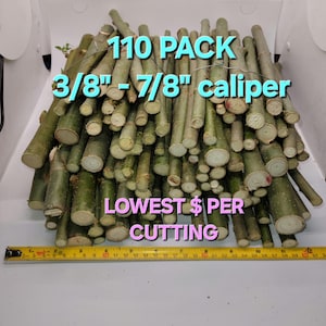 May include: A pile of green cuttings with a diameter of 3/8 to 7/8 inches. The text on the image reads "110 PACK" and "LOWEST $ PER CUTTING". A yellow measuring tape is at the bottom of the image.