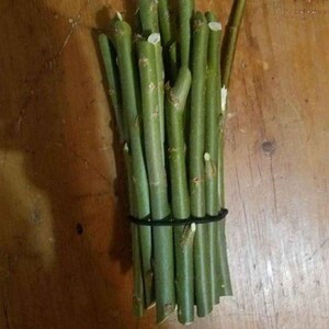 Puede incluir: Un manojo de ramas de sauce verde atadas con una banda el&aacute;stica negra. Las ramas miden aproximadamente 30 cm de largo y son perfectas para manualidades o arreglos florales.