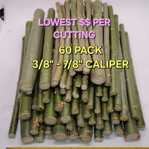 May include: A pile of green cuttings with a 3/8" to 7/8" caliper. The image includes text that reads "LOWEST $$ PER CUTTING" and "60 PACK". A measuring tape is at the bottom.