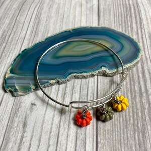 Può includere: Un braccialetto d'argento con tre ciondoli a forma di zucca. Le zucche sono arancioni, gialle e verdi.