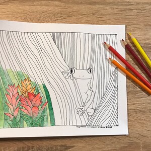 Printable Frog Coloring Page