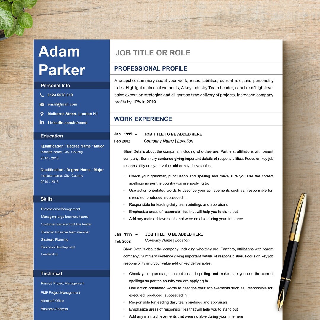 Resume Template, Professional Modern Resume Template for Pages, Word ...