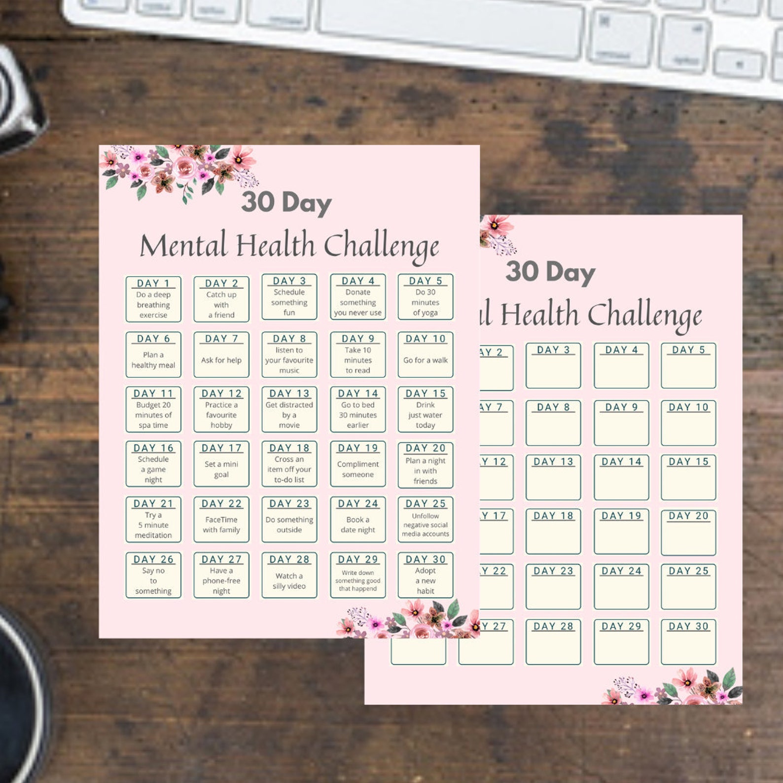 30 Day Mental Health Challenge Guide and Empty Worksheet | Etsy
