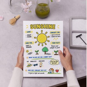 May include: A white educational poster titled SUNSHINE featuring hand-drawn illustrations of a yellow sun, green plants, and items like a hat, sunglasses, and sunscreen. The text explains sunlight benefits, light and shadows, and plant growth.