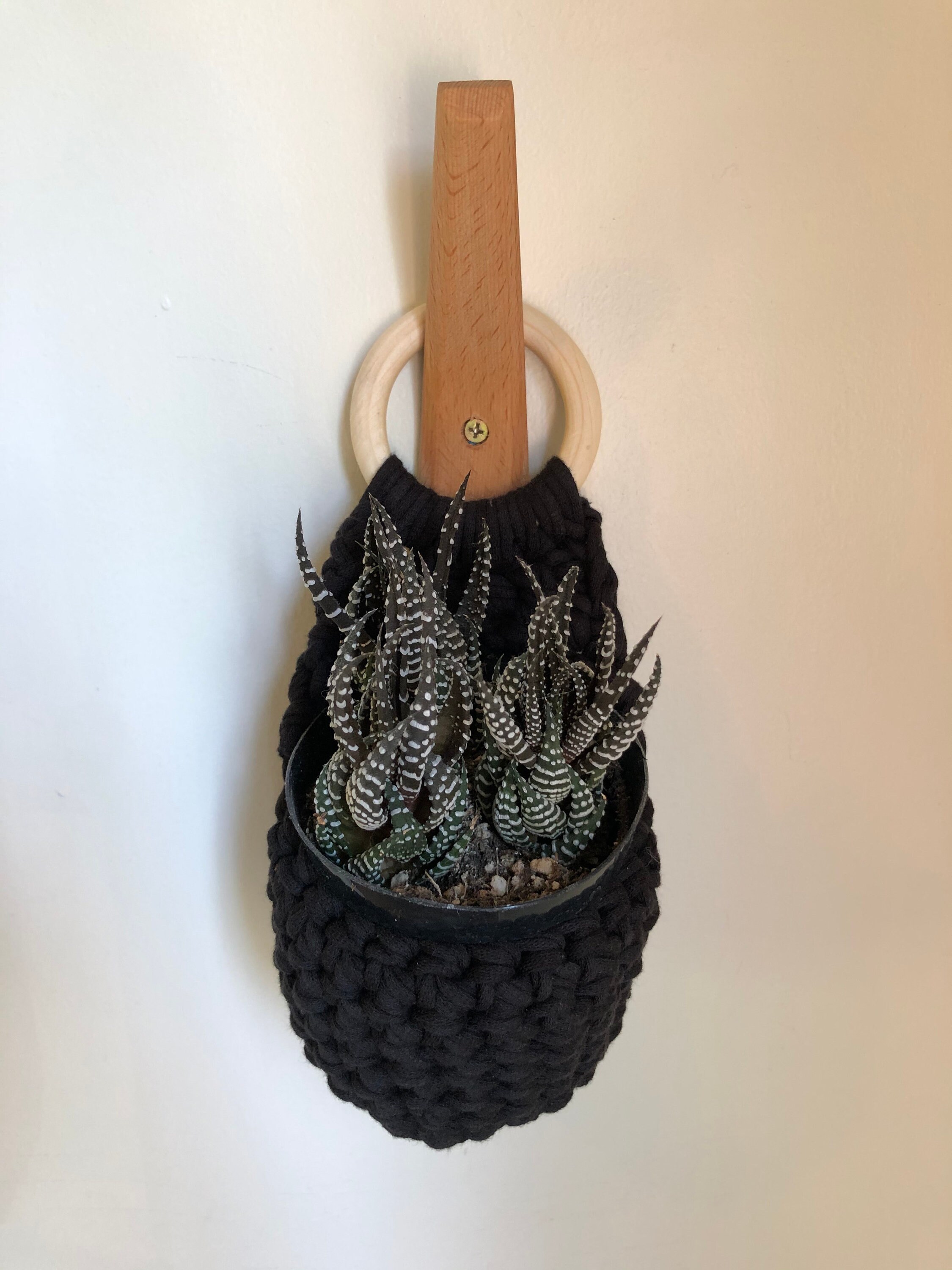 Crochet Plant Holder x Hanging Basket Etsy