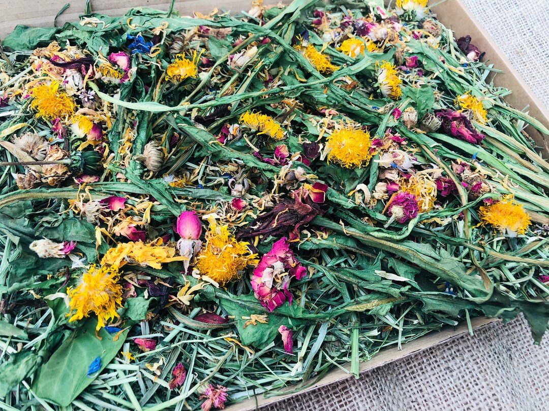 100g A4 Dandelion Leaves and Flowers Letter Box Forage. for Rabbits