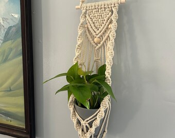 Plant Wall Hanging