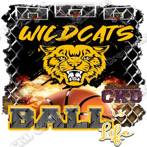BBALL IS LIFE