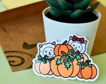 Ray & Coco - Pumpkin Patch | Kawaii Aesthetic | Pumpkin Decal | Orange Pumpkin Sticker | Pumpkin Stickers | Halloween Kawaii