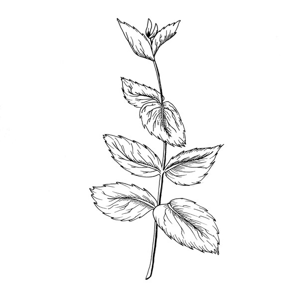 Mint Kitchen Art Etsy