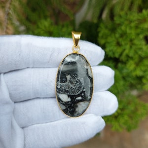 AAA+ Quality Very Good Pretty One, Natural Fossil Brass Silver Plated Pendant, Natural Gemstone  Pendent Unisex Pendant