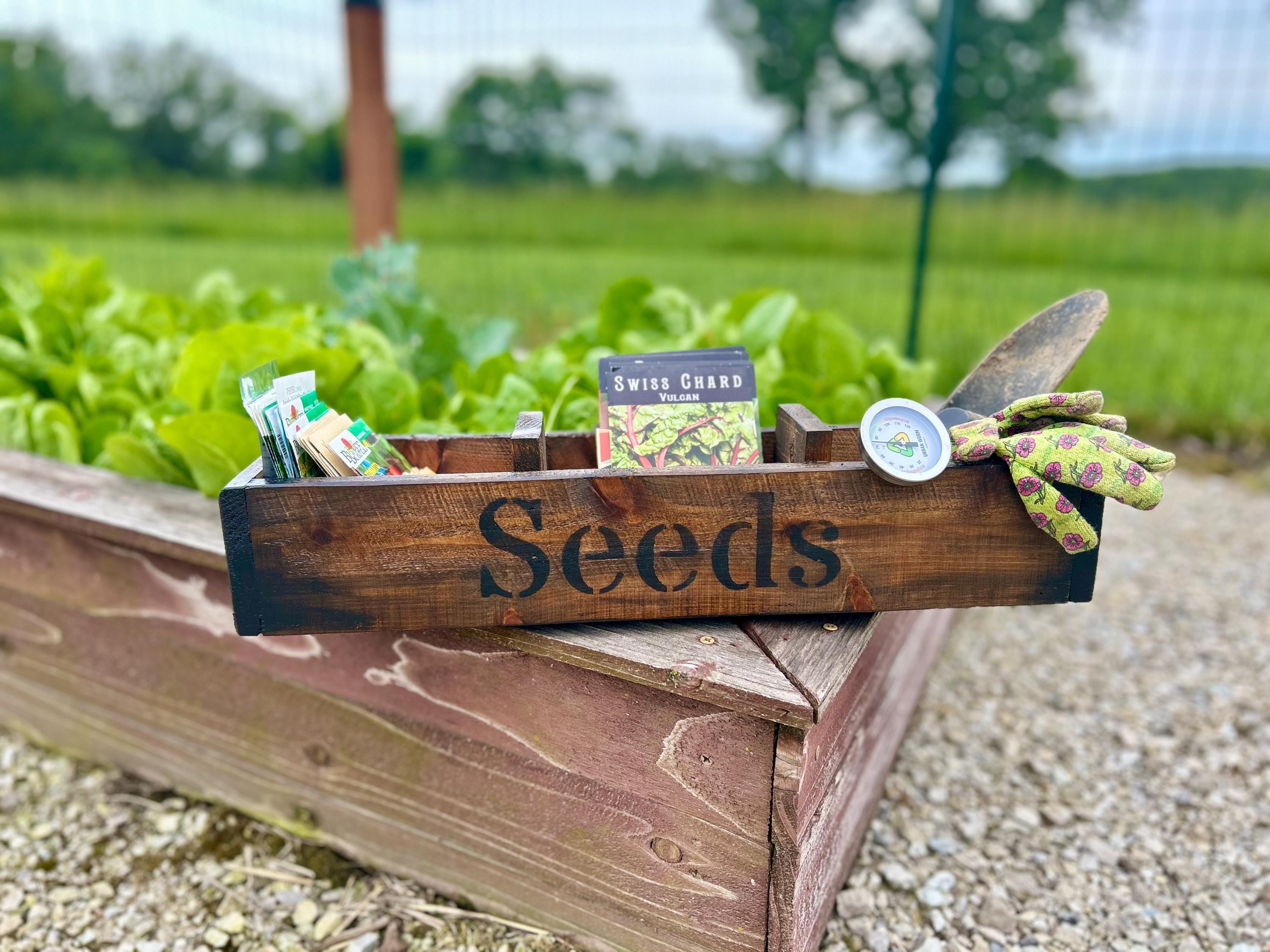 ガーデニングBOX Rustic Cedar Garden Seed Organizer Box: Walnut Stain, 3