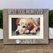 see more listings in the Dog/cat section