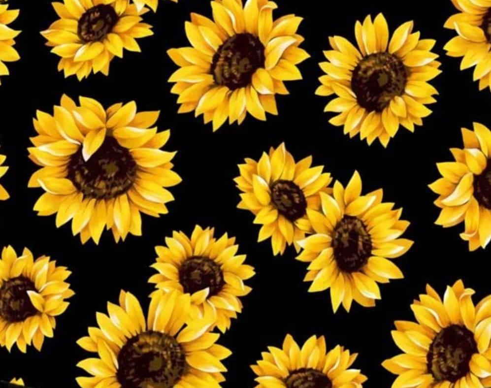 Sunflower Design With Black Background PNG File Black 