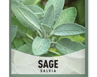 Sage Seeds For Planting - Heirloom, Non-GMO Seeds Herb Variety - Herb Seeds Great For Indoor and Outdoor Herb Gardens