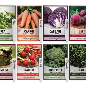 Winter Fall Vegetable Seeds For Planting 8 Variety Pack - Cabbage, Pea, Carrot, Beet, Radish, Broccoli, Kale, Lettuce Non-GMO Heirloom Seeds