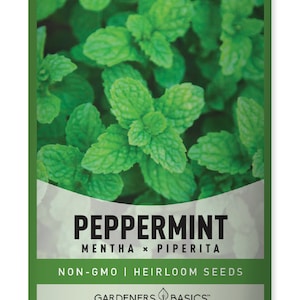 Peppermint Seeds For Planting - Heirloom, Open-Pollinated, Non-GMO Herb Variety - Great For Indoor and Outdoor Gardening, Herbal Tea Gardens
