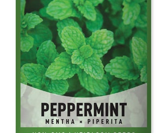 Peppermint Seeds For Planting - Heirloom, Open-Pollinated, Non-GMO Herb Variety - Great For Indoor and Outdoor Gardening, Herbal Tea Gardens