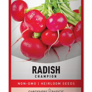 Radish Seeds For Planting - Champion Radish Variety - Heirloom, Non-GMO Vegetable Seeds Great For Outdoor Spring, Winter, and Fall Gardens