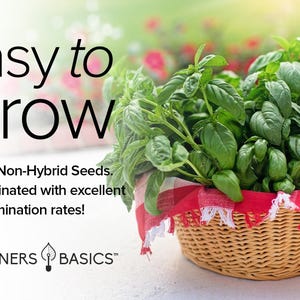 Assorted Gourmet Basil Seed Varieties | 8 Variety Pack - Etsy