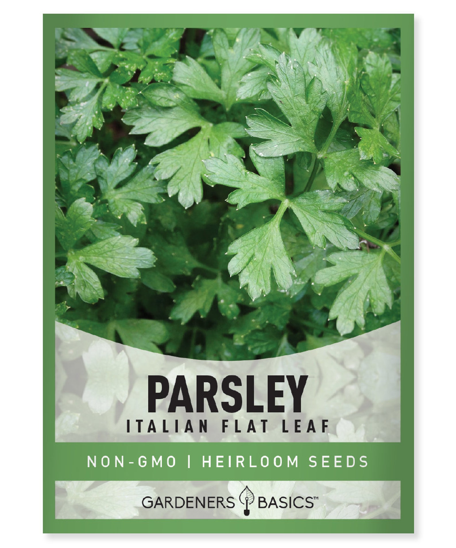 Parsley Seeds for Planting Italian Flat Leaf Variety Heirloom, Nongmo