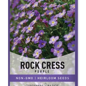 Purple Rockcress Seeds