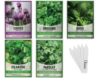 Culinary Herb Seeds For Planting 5 Heirloom Seed Packets Including Basil, Cilantro, Chive, Oregano, and Parsley Good for Kitchen Herb Garden